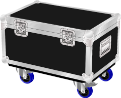 Rush Par1 RGBW Flight Case