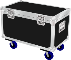 Martin Rush MH2 Wash Flight Case
