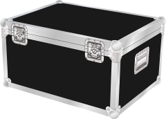 Chauvet Swarm 5FX holds 4 Flight Case