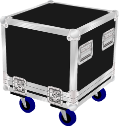 EV ZXA1-Sub Bass Speaker Flight Case