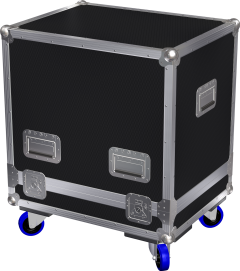 Electro-Voice EV MFX 15MC Holds 2 Flight Case