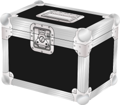 Little Walter Series 9 8watt head transport Flight Case