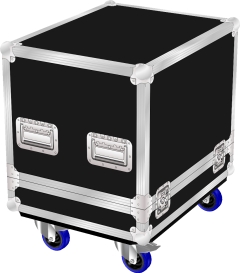 Alto Pro Audio TS SUB 15 Bass Speaker Flight Case