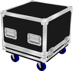 Alto Pro Audio TS SUB 12 Bass Speaker Flight Case